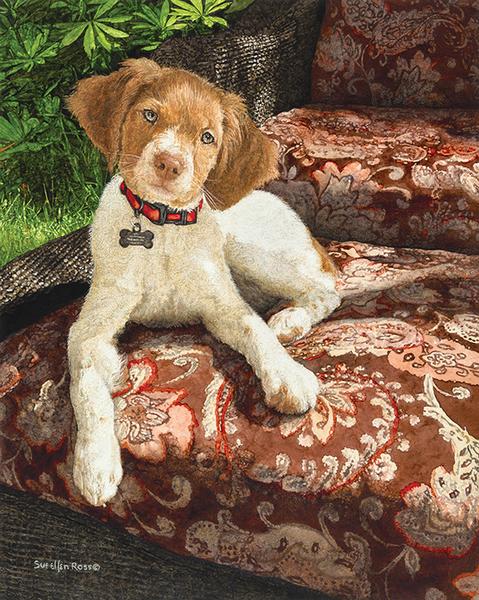 Sueellen Ross - Artists - Trailside Galleries Sueellen Ross - Artists - Trailside Galleries